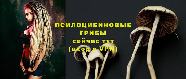 гидропоника Аркадак
