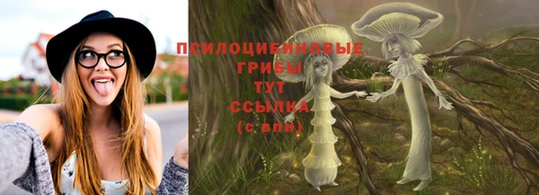 мяу мяу мука Нягань