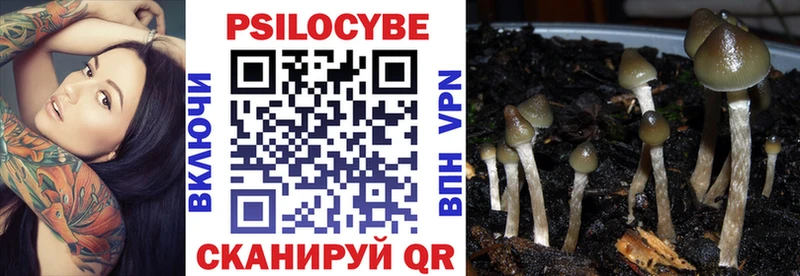 Галлюциногенные грибы Psilocybine cubensis Берёзовский