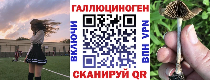 Галлюциногенные грибы прущие грибы  хочу наркоту  Берёзовский 